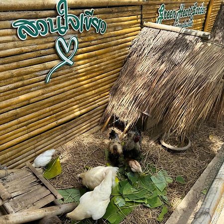 Greenheart Garden View Camp Phuket Kata Beach  Buitenkant foto