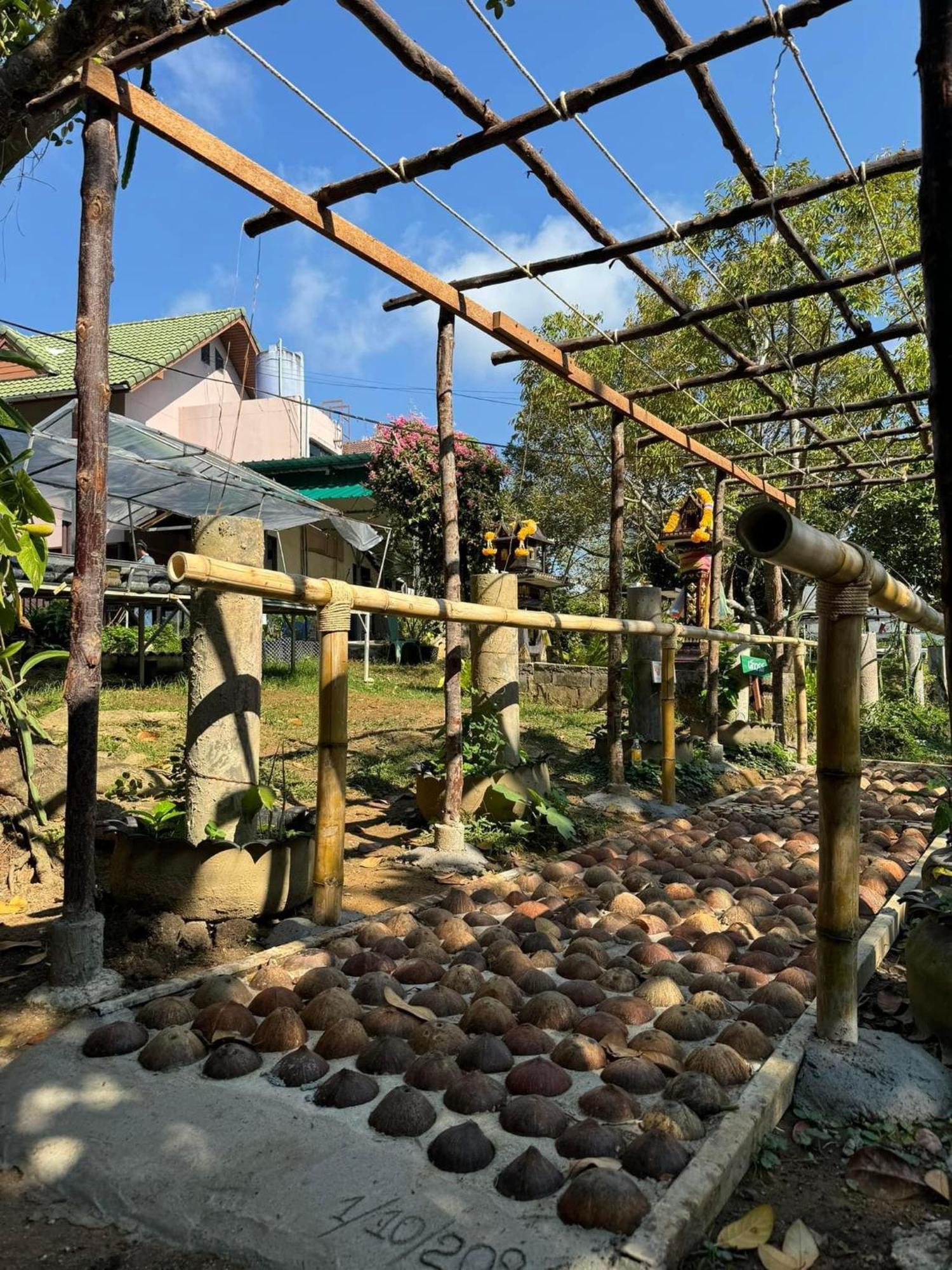 Greenheart Garden View Camp Phuket Kata Beach  Buitenkant foto