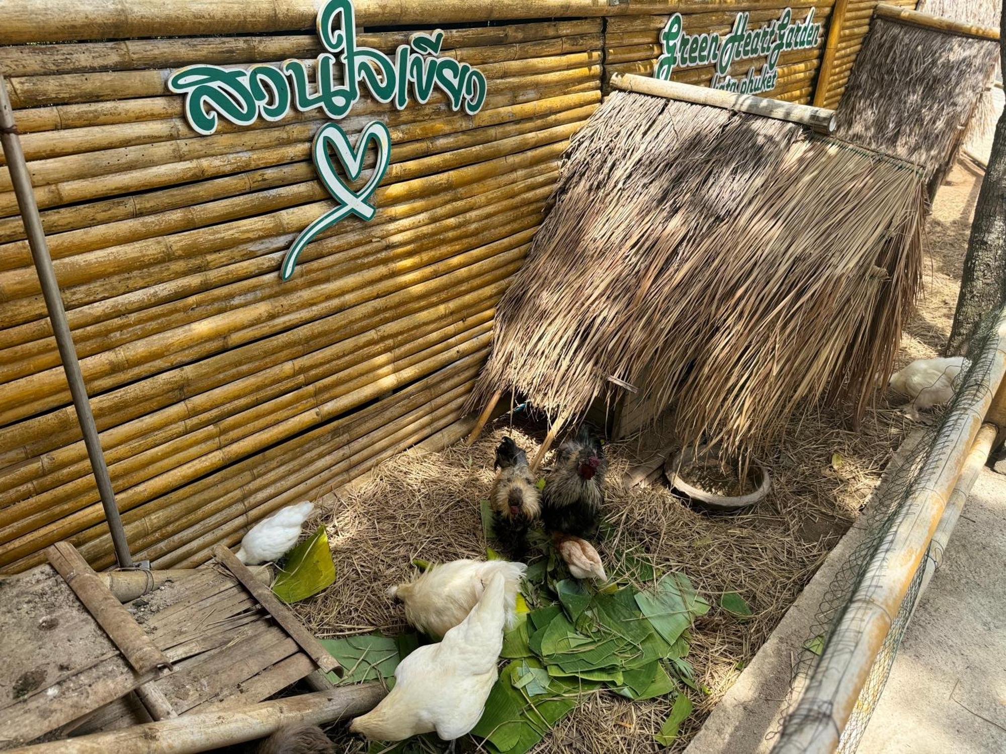 Greenheart Garden View Camp Phuket Kata Beach  Buitenkant foto